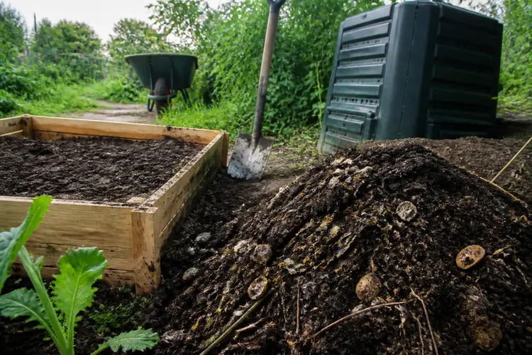 Bodem en compost moestuin