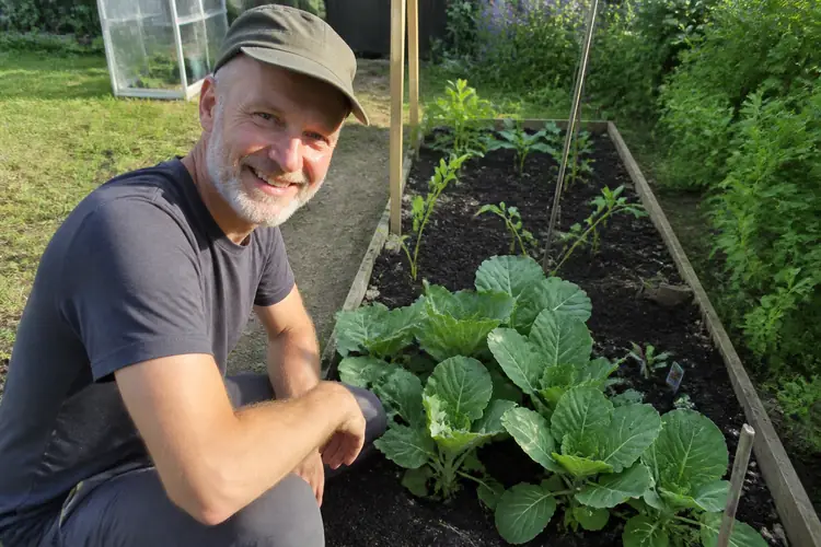 Moestuinieren voor beginners
