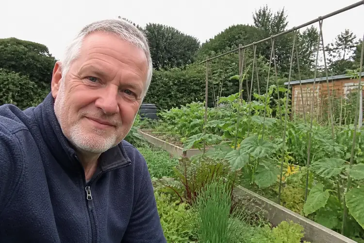 Moestuin beginners